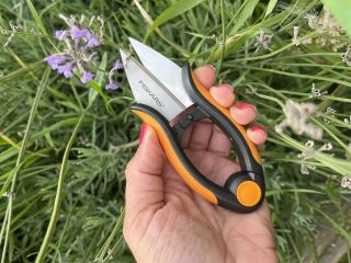 S citem pro detail… 🌱✂️🌸 !NOVINKA! Nůžky na bylinky Fiskars https://www.vyroste.cz/nuzky-na-bylinky-fiskars-sp220/